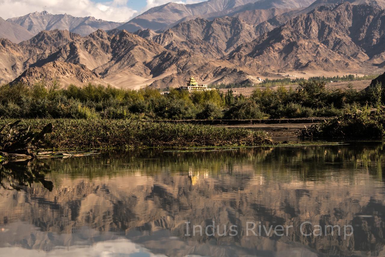 The Indus River Camp Leh Kültér fotó